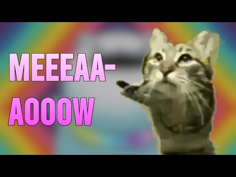 EEEAAAOOO (Meowsynth)