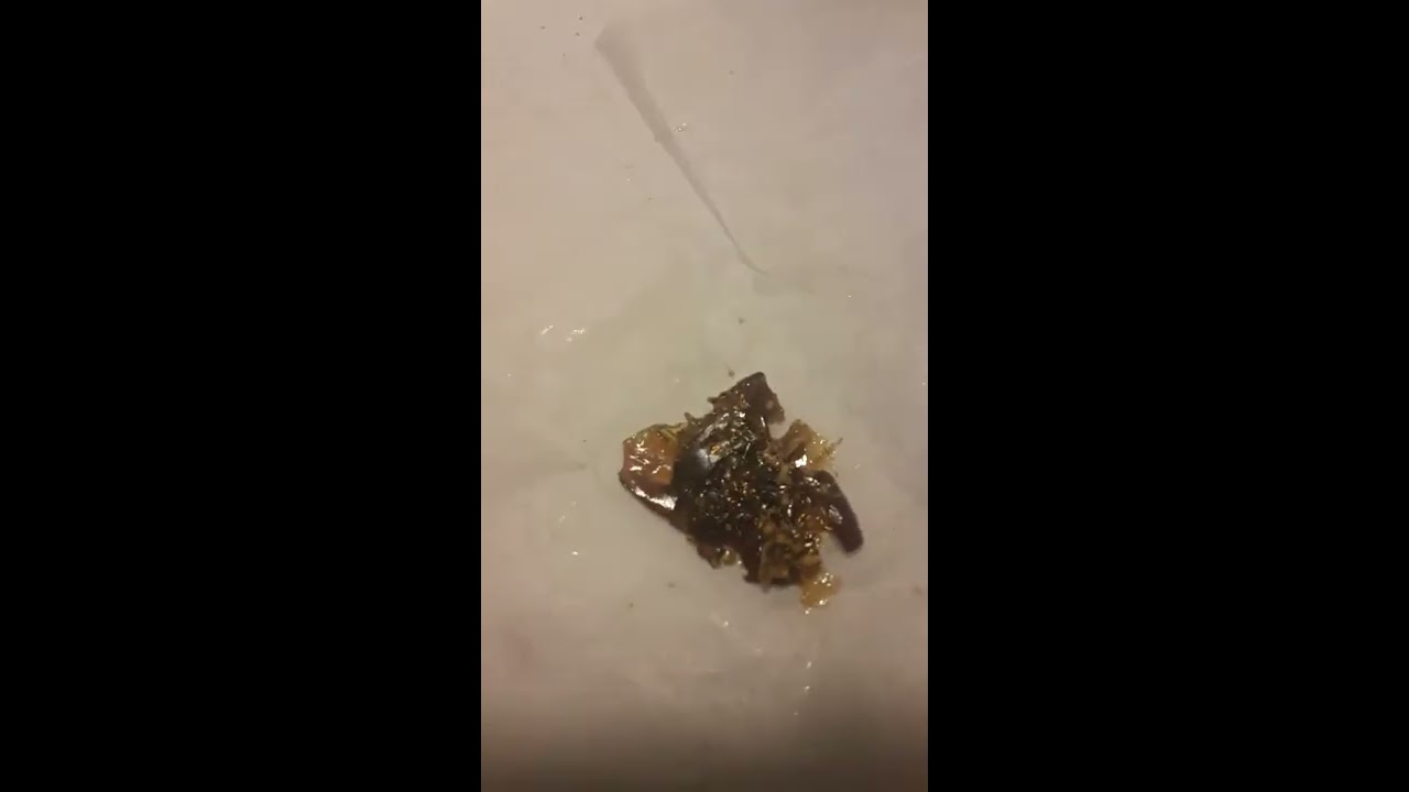 there you go ready to smoke in 7 hrs no vac clean bho