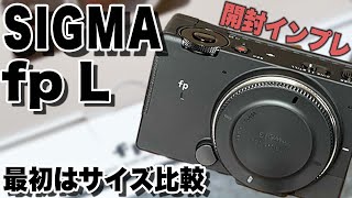 SIGMA fp L おまけ多数 SIGMA fp L おまけ多数 - メルカリ