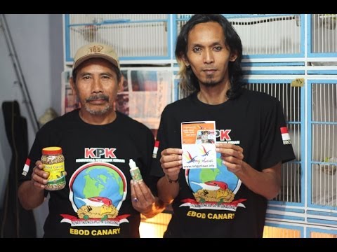 kpk jabar kenari indonesia go international with ebod jaya kpk jabar kenari indonesia go international with ebod jaya
