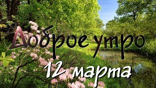 Доброе утро - Выпуск 106 (12.03.2019)