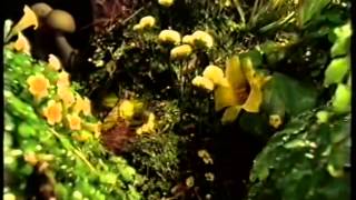 ITV1 Ident (2006)