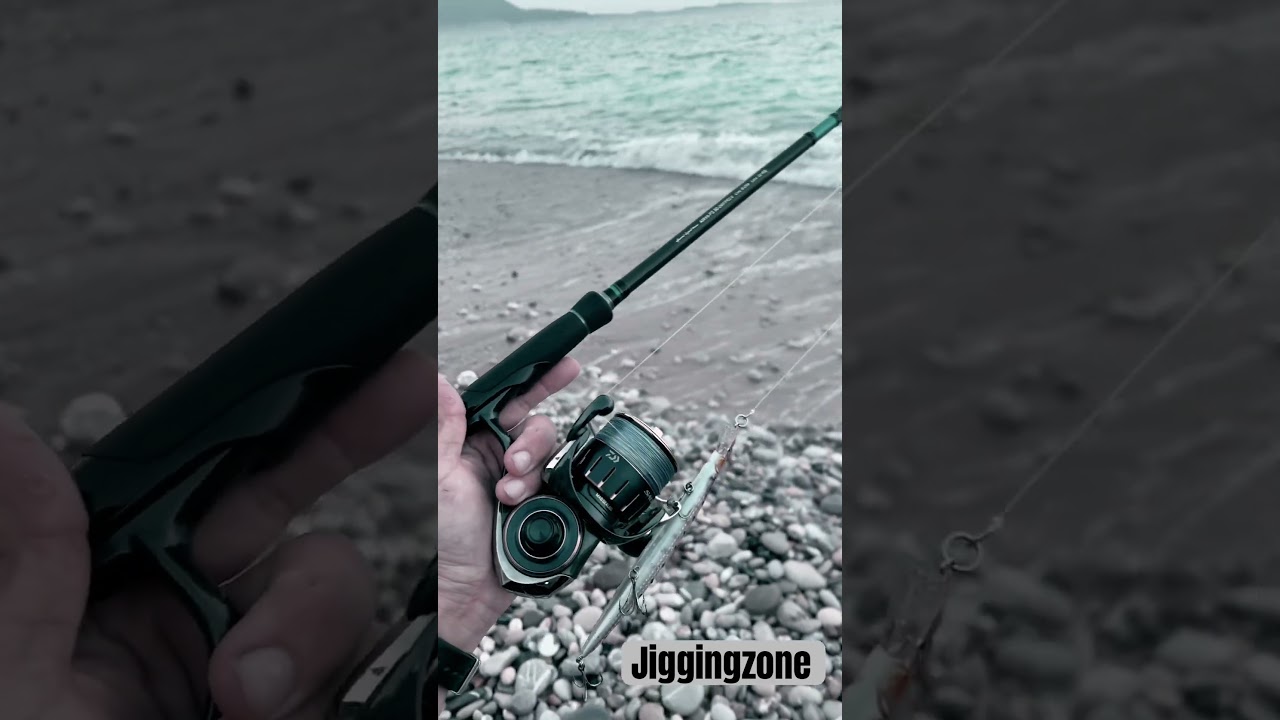 Xzoga Airvolution Phantom Daiwa Saltiga 2023  