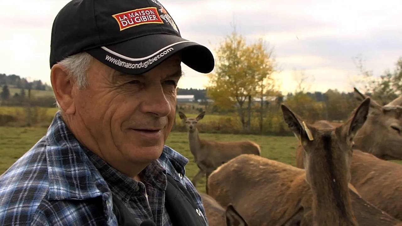 De la terre à la table : cerf