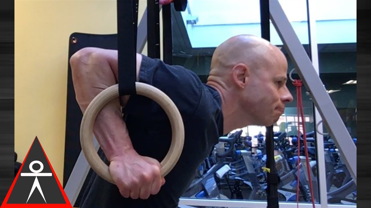 stability fisioterapia How to Build Strength, Stability & Mobility for Ring Dips