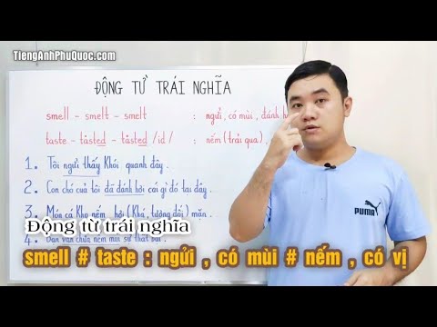 Video: Tại sao con chó của tôi Sniff chỉ đánh hơi một số người?