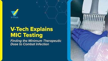 V-Tech Explains MIC Testing: Finding the Minimum Therapeutic Dose to Combat Infection