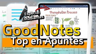 GoodNotes para iPadLa MEJOR APP para APUNTES y Apple Pencil✏