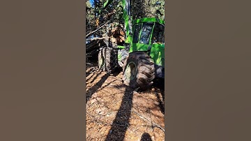 FOREST POWER 🌲🍃🌲 #logging #stihl #lumberjack #fyp #tractor #farming #lkt