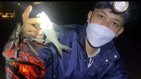 Câu cá bạt bãi biển nướng ăn tại chỗ được cá căn, cá chét to II vũ già vlog