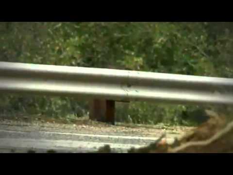 Insurance Ispot Tv Commercials