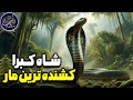 حقایق شگفت انگیز درباره شاه کبرا کشنده ترین مار زمین 