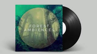 Forest Ambience Sound Effect
Follow this link to download this high quality sound from our free sampler pack:
https://silverplatteraudio.com/collections/freebies/
To bring your forest scene setting to life, non-looping randomness is key. This library provides long recordings of various settings.
This affordable nature sound library, recorded with pro equipment, brings you recordings from the Boreal regions of the world, in over 10 different locations and at different times of day and night. Forest Ambience Sound Effect
