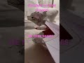 My first dragon! #paper dragons #mini paper dragons #dragons #origami #cute paper things