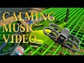 Avata 2 | Calming Music Tribute Video | To Build a Home