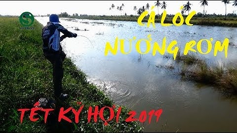 Câu cá lóc | Nướng rơm đón xuân kỷ hợi 2019 | Fishing lure | Sắc Màu VN