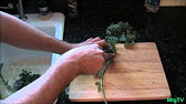 Garden Greens: Spinach, Kale, Collards; Vacuum Seal and Dehydration