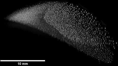 Dust vortex dynamics (Campaign I) in diffused plasma in SPD-I device.
