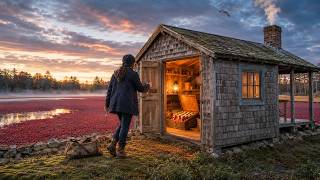 Cast Out at 22, She Bought a $4 Cape Cod Cranberry Cottage — What Her Vovó Saved Stunned Her