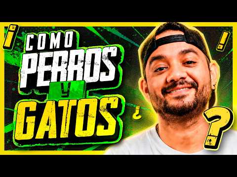 Como Perros y Gatos