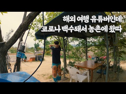 여행 못가게 된 여행유튜버 농촌 생활을 시작 【우리나라1】