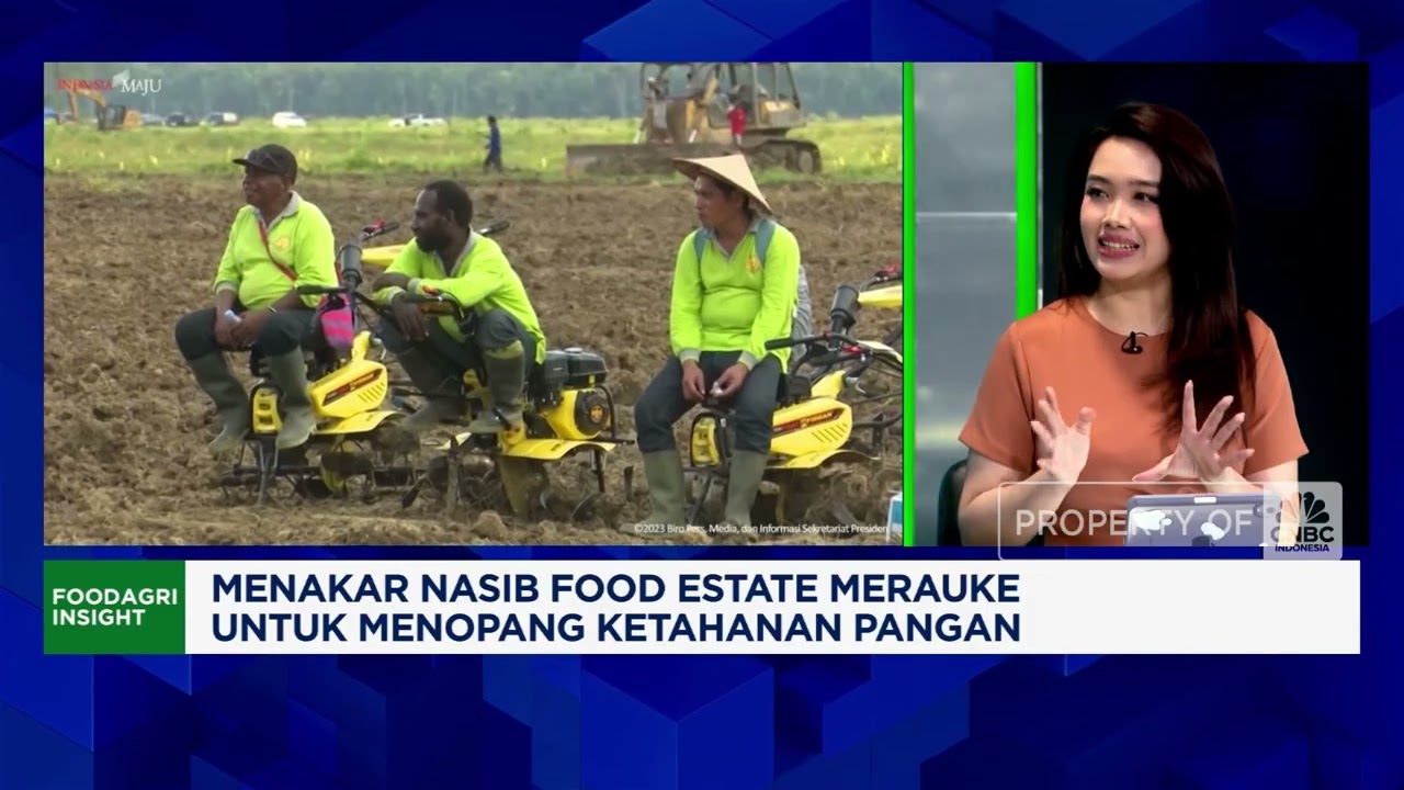 Proyek Food Estate Merauke, Apa Dampaknya ke Warga & Ekonomi Daerah?