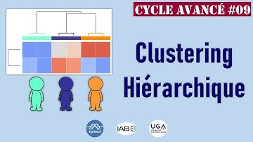 Clustering hiérarchique, méthode non supervisée du machine learning | Cycle avancé IA #9