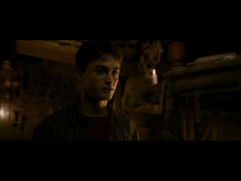 Slughorn tells Harry about his little fish Francis - Harry Potter and the Half-Blood Prince