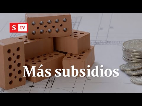 Aumentan los subsidios para las Viviendas de Interés Social (VIS) | Semana Tv