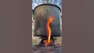 Survival Skills: Brewing tea with a homemade fire pit 🔥🌲