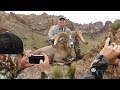 Arizona Desert Bighorn Sheep Hunt *2019 Raffle Ram