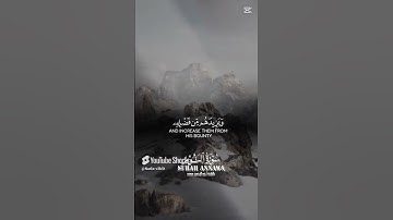 ايات من القران الكريم تلاوة ومقروء ايات بينات من سورة النور أجمل ايات الامل و السكينة
