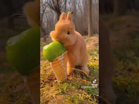 إلهي أنت للاحسان أهل طه الفشني إذاعة القرآن الكريم