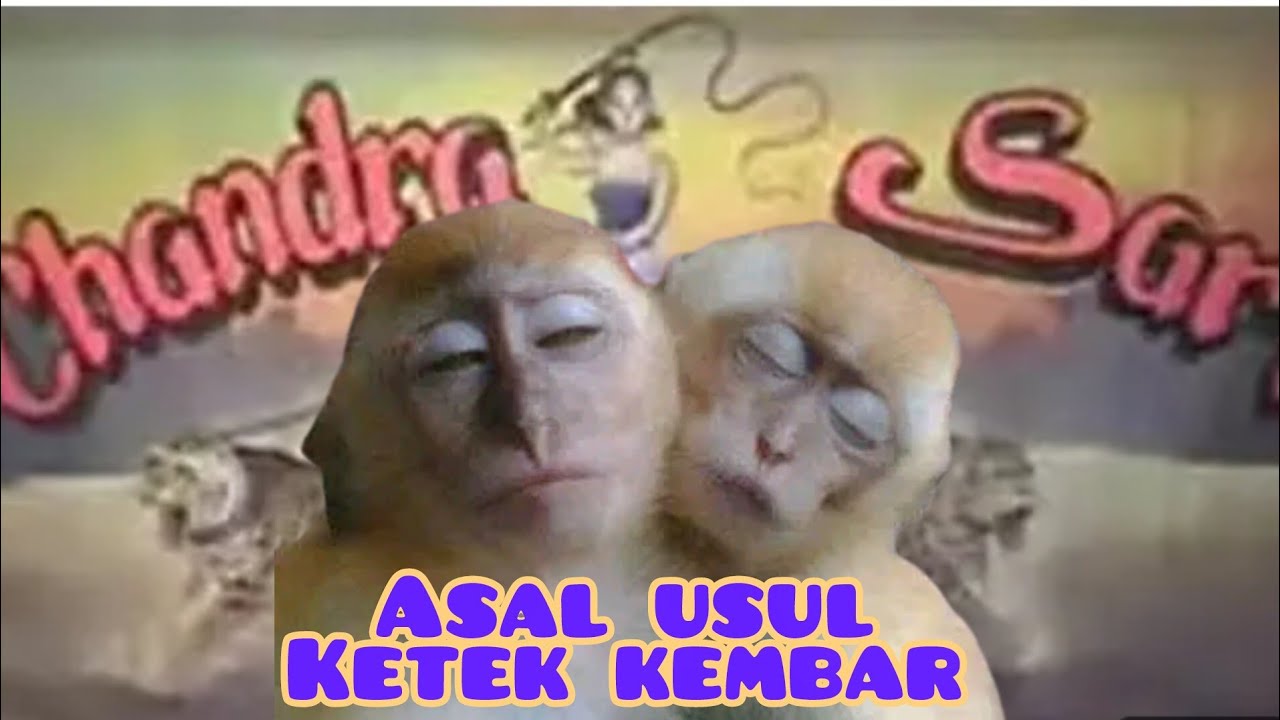 Riwayat ketek sejodoh, sandiwara Chandra Sari 