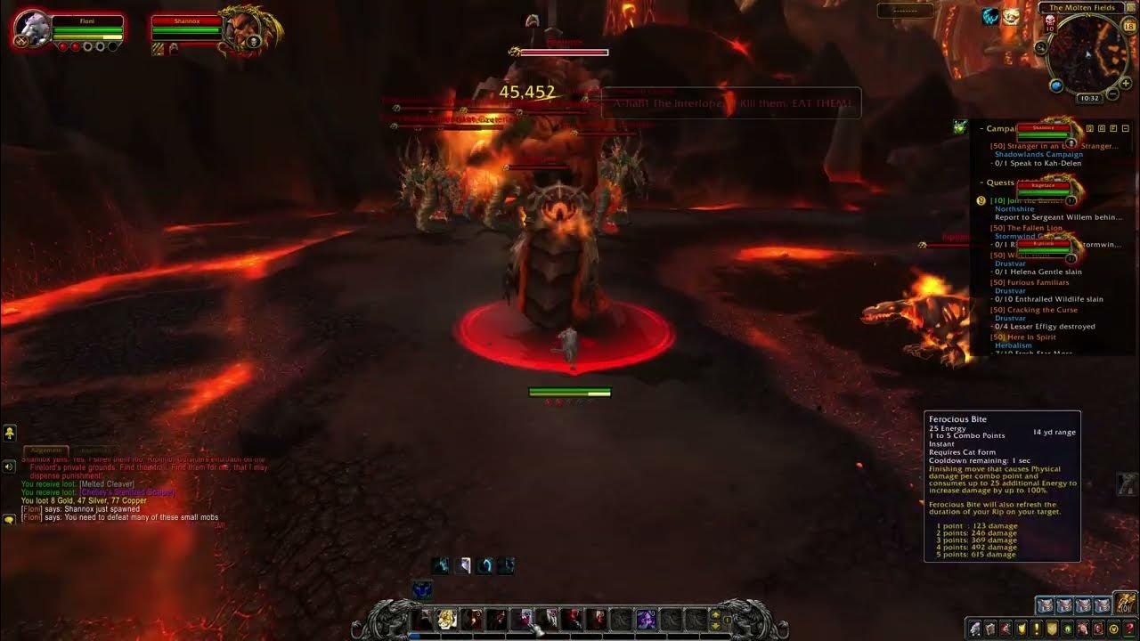 How to fight SHANNOX (Spawn) WoW Firelands Raid Solo YouTube