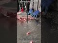 Skilled Butcher Cutting Large Meat With Electric Band Saw