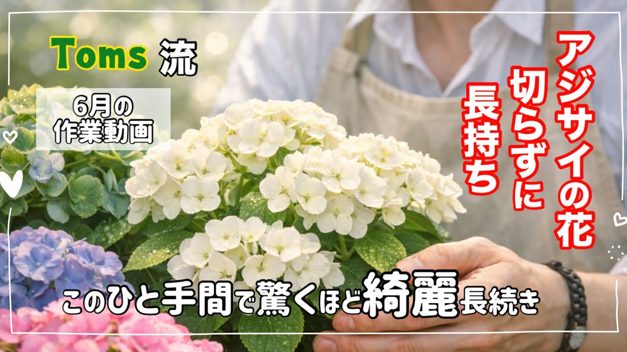 The New Standard for Growing Hydrangeas: You Don't Need to Cut