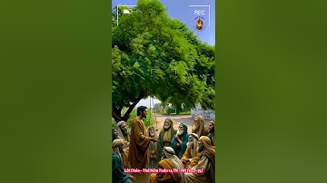 Lời Chúa - Thứ Năm Tuần 14 TN  - Mt (10,7-15)🕯️📖🕯️