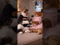 Kittens reacting to human pool fails! 😂💦