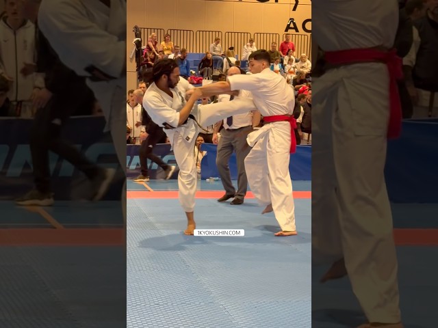 IKO Great Britain London Open 2026 #kyokushin #shinkyokushin #karate #1kyokushin #一極真 #極真会館