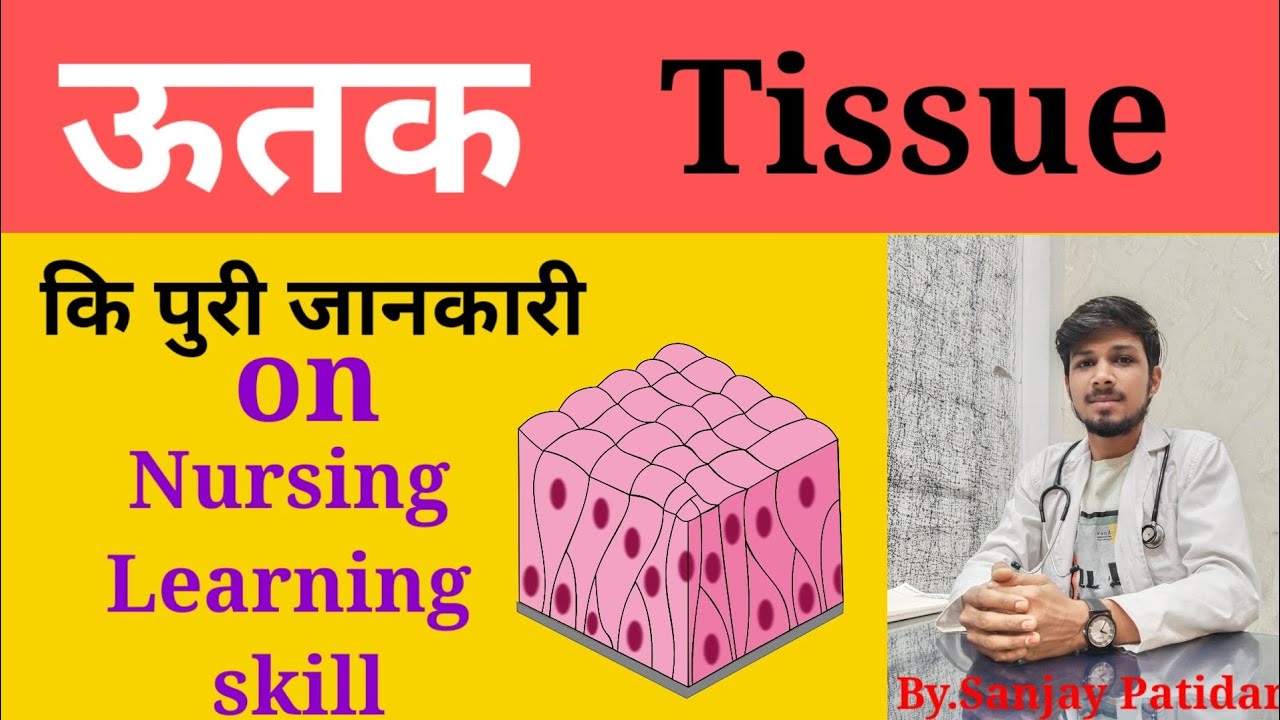 Definition of tissue tissue क्या होता है tissue kise kahte he YouTube