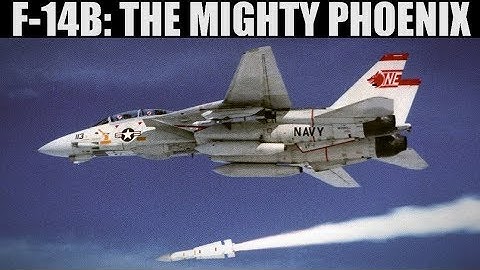 F-14B Tomcat: Aim-54 Phoenix Tutorial | DCS WORLD