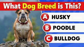 Think You Know Dogs? Try This Breed Challenge screenshot 5