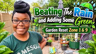 Beating The Rain and Adding Some Green - Garden Reset Zone 1 & 9