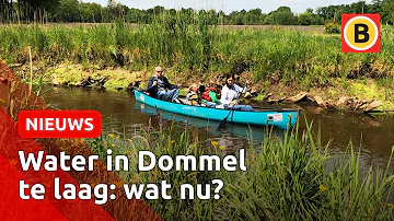 Rivier De Dommel afgesloten | Omroep Brabant