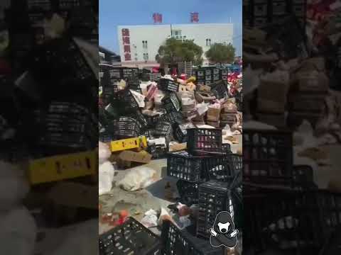 Quarantined Shanghai People are starving, but all food are wasted in Logistics warehouse