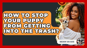 How To Stop Your Puppy From Getting Into The Trash? - Obedient Dog Guide