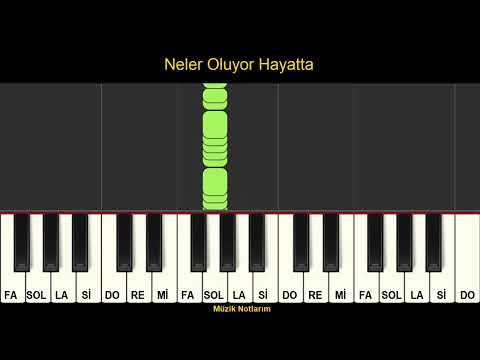 Neler Oluyor Hayatta