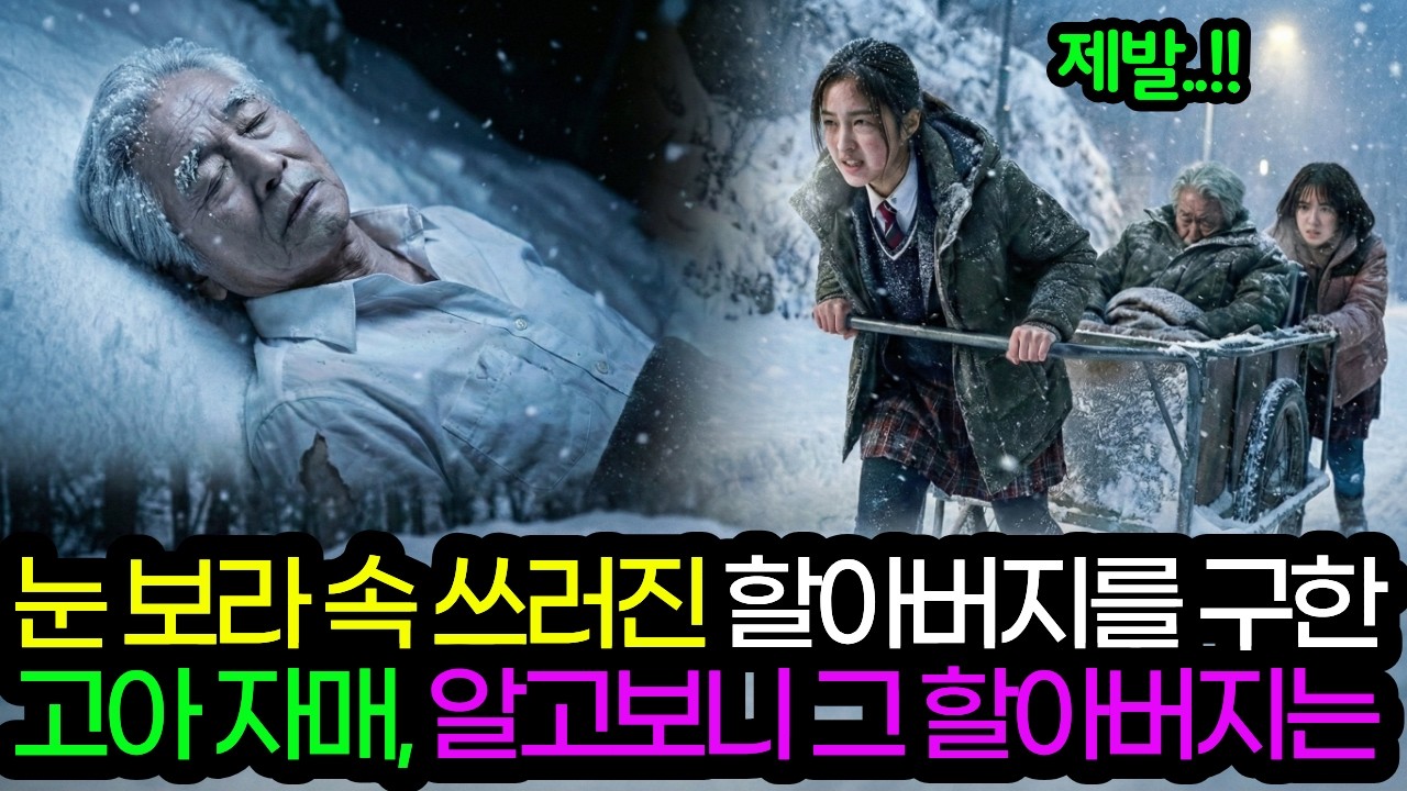 눈내리는 산 속에서 쓰러진 할아버지를 구한 고아 자매, 할아버지의 진짜 정체가 드러나는데.. | 감동사연 | 사연라디오 | 오디오북 |