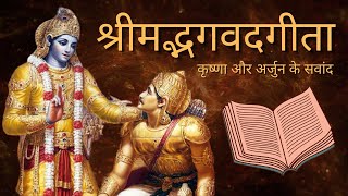 श्रीमद भगवत गीता सार